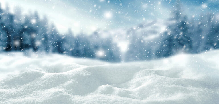 Glacier Guardian, vandens tiekimo ir pelės terpė