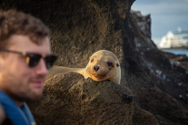 Galapagų salos: biologinės įvairovės simfonija