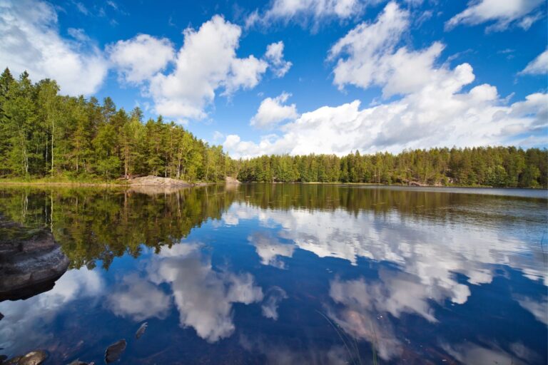 5 tvarios viešnagės Jyväskylä regione, Suomijoje